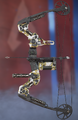 Squared Away Bocek Compound Bow